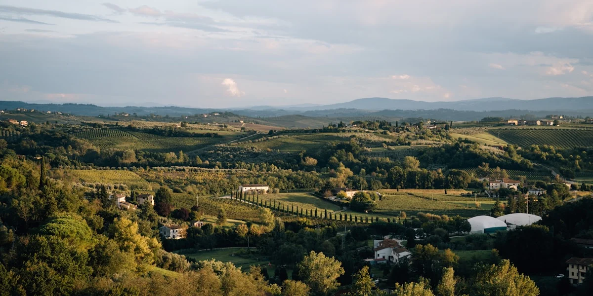 Winding road through Tuscan cypress trees at golden hour